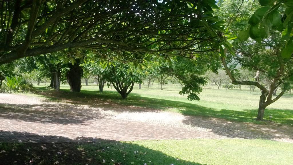 5Th Seasons Guesthouse Mbombela Ngoại thất bức ảnh